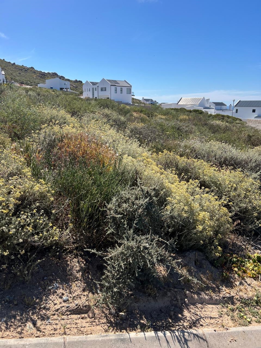 Commercial Property for Sale in St Helena Views Western Cape